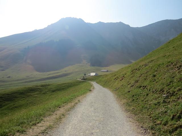 bei der ersten Weggabelung biegen wir links ab zur Riggisalp