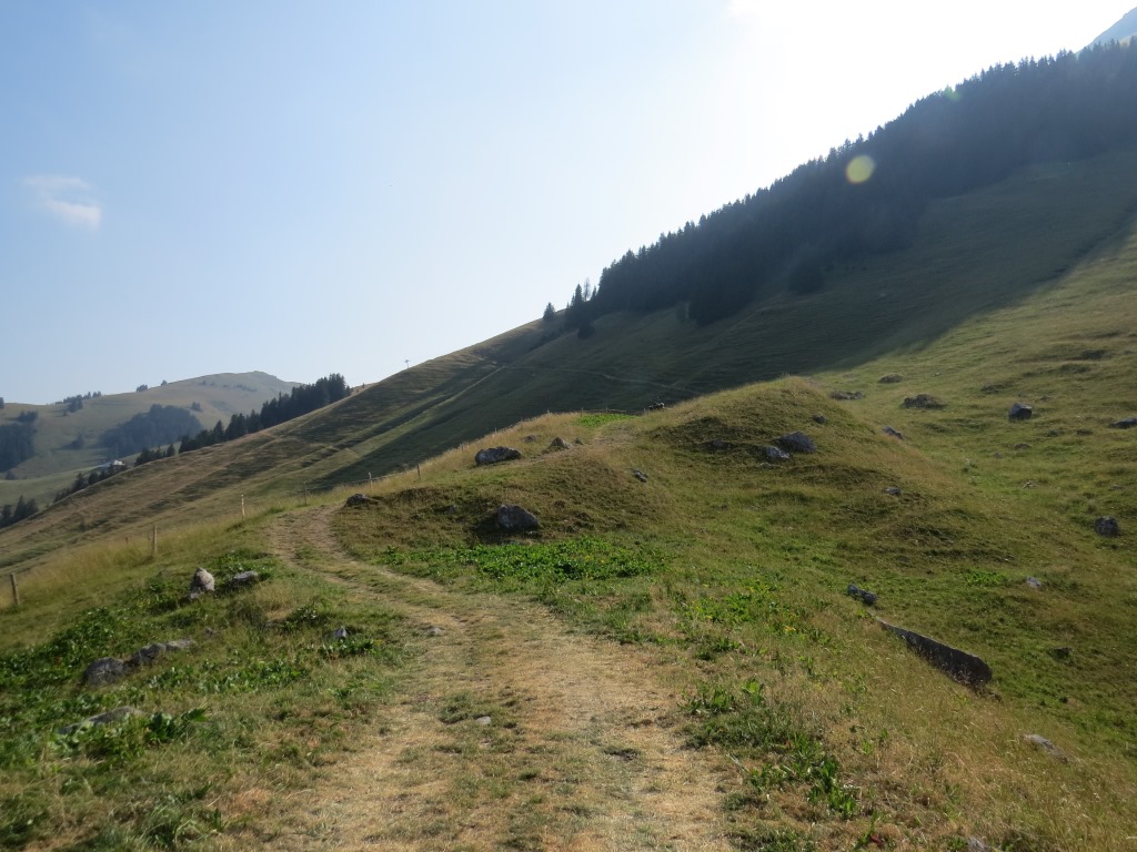 weiter geht es über die Riggisalp zum Riggisalpseelein 1469 m.ü.M.