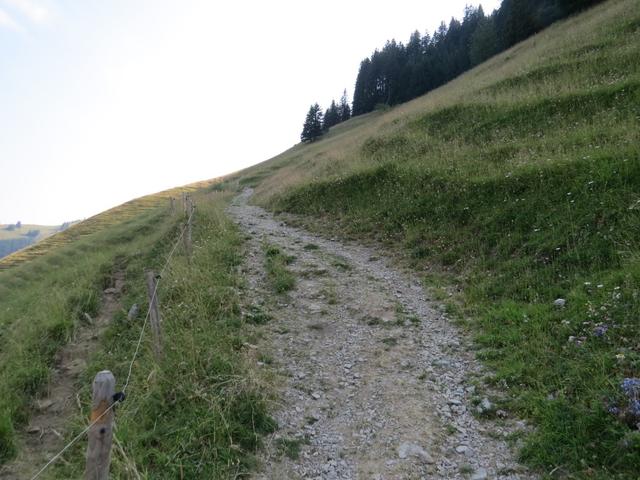 links am See vorbei geht es anschliessend auf breitem Alpweg...