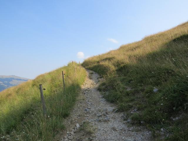 ...und einen leichten Anstieg über Punkt 1547 m.ü.M. zur Alp Salzmatt