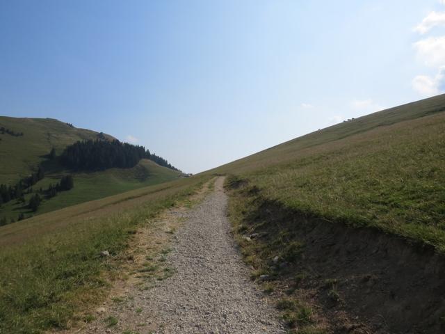 auf dem Weg zur Alp Salzmatt