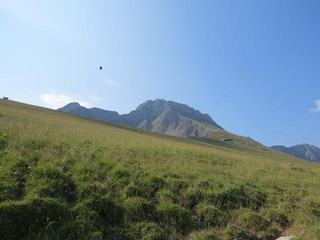 Blick hinauf zur Kaiseregg