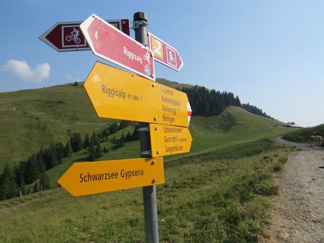 bei der Wegkreuzung Punkt 1636 m.ü.M. biegen wir scharf nach rechts und gehen nun genau auf die Gipfelfelsen des Kaiseregg zu