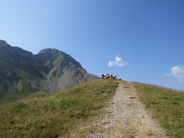 auf gutem Weg geht es nun zuerst steil über den Nordwestgrat