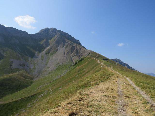 Blick hinauf zur Kaiseregg