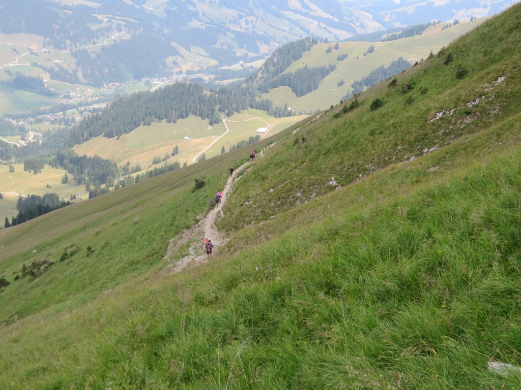 Blick auf die Flanke die zur Alp Salzmatt führt