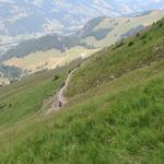 Blick auf die Flanke die zur Alp Salzmatt führt