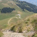 Blick auf die Alp Salzmatt