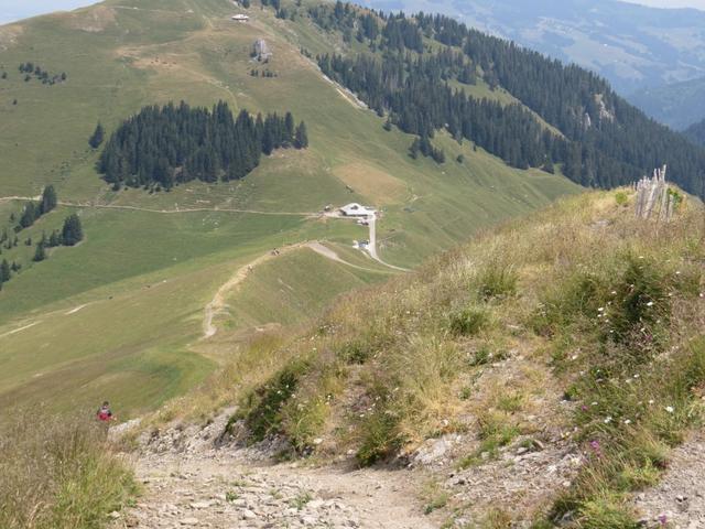 Blick auf die Alp Salzmatt