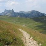 auf dem Weg zur Alphütte der Alpgenossenschaft Schmitten auf der Riggisalp