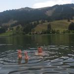 wir beenden diesen schönen Wandertag mit einem kühlen Bad im Schwarzsee
