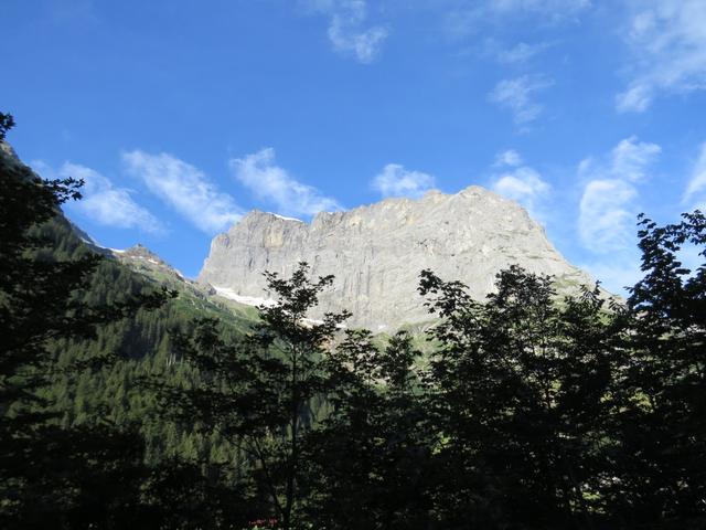 Blick hinauf zum Titlis