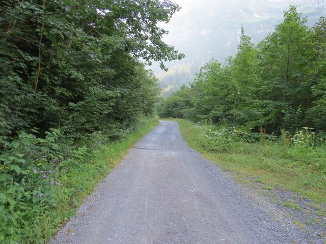 auf der Asphaltstrasse laufen wir nun Richtung Alpenrösli