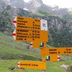 beim Wegweiser auf Alp-Stäfeli 1393 m.ü.M. zweigt der Hüttenweg zur Spannorthütte rechts ab