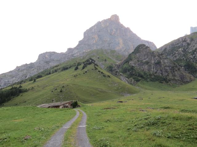 über Punkt 1414 m.ü.M. geht es über einen guten Bergwanderweg stets steil aufwärts