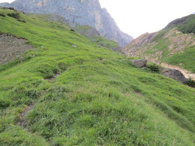 ein kurzes Stück führt der Bergweg nun über einen Grashang...