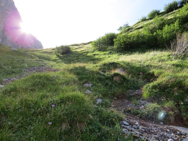 kurz vor der Hütte öffnet sich das Gelände und man wandert über Grashänge weiter zur Hütte hinauf