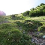 kurz vor der Hütte öffnet sich das Gelände und man wandert über Grashänge weiter zur Hütte hinauf