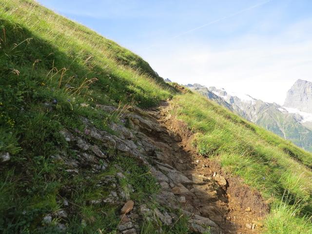 der Bergweg kurz vor der Hütte