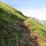 der Bergweg kurz vor der Hütte