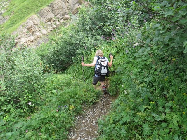 auf dem Weg zum kleinen Tobel bei Geissrüggen