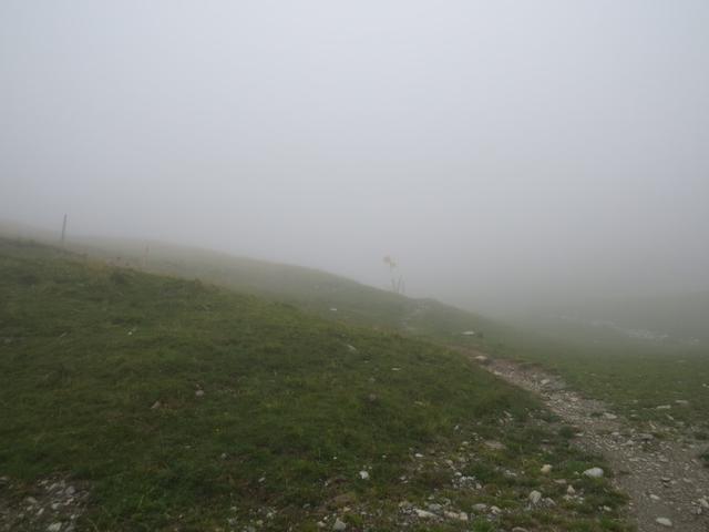 im dichten Nebel verlassen wir die Bergstation. Wird das Wetter besser? Wir hoffen es