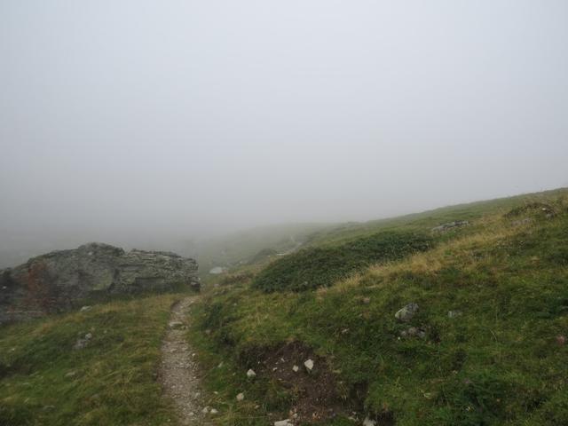 bei der Wegkreuzung Punkt 2170 m.ü.M. biegen wir links ab