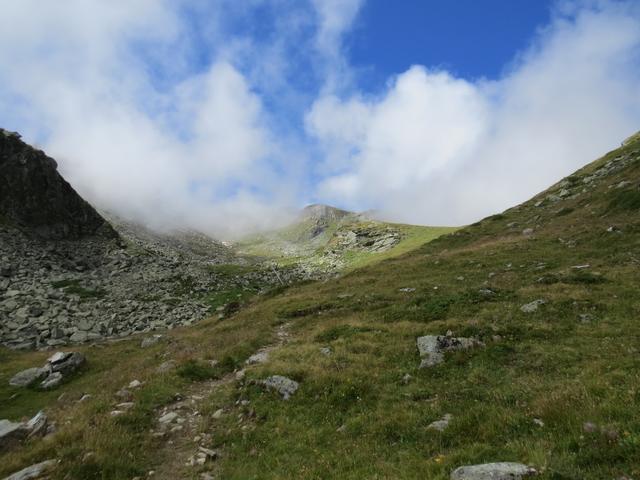 auf einen einfachen Wanderweg geht es über Alpweiden weiter aufwärts