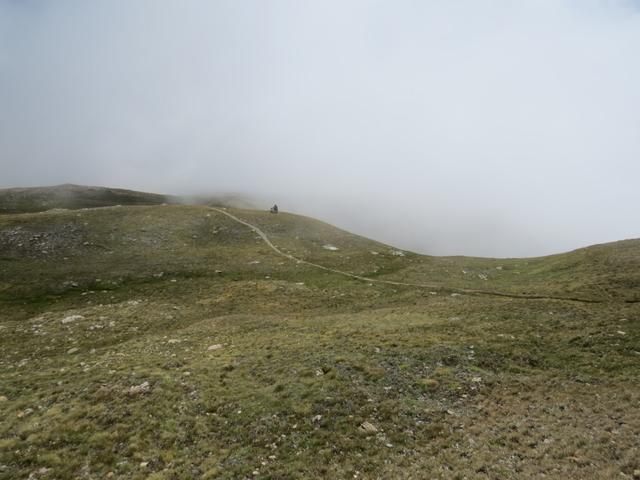 gut ersichtlich unser weiterer Wegverlauf zum Pas de Lona