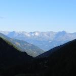 Blick Richtung Berner Alpen und das Rhonetal