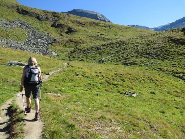 weiter geht unsere Wanderung über die Alpweiden von Tracuit