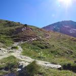 über mehrere Hangwellen windet sich der Steig von der Alp Combautanna weiter hinauf