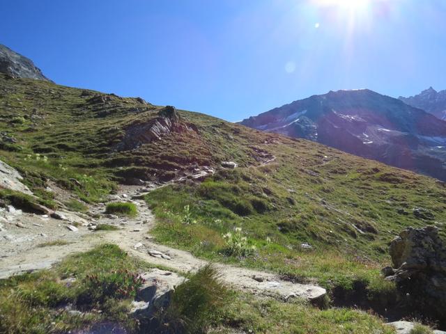 über mehrere Hangwellen windet sich der Steig von der Alp Combautanna weiter hinauf