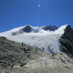 Blick zum Bishorn, Weisshorn und Tête de Milon, einfach sehr schön