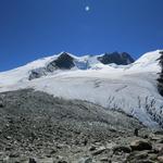 Blick zum Bishorn, Weisshorn und Tête de Milon, einfach sehr schön