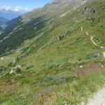 gut ersichtlich der weitere Wegverlauf über die Alp Tracuit nach Le Chiesso