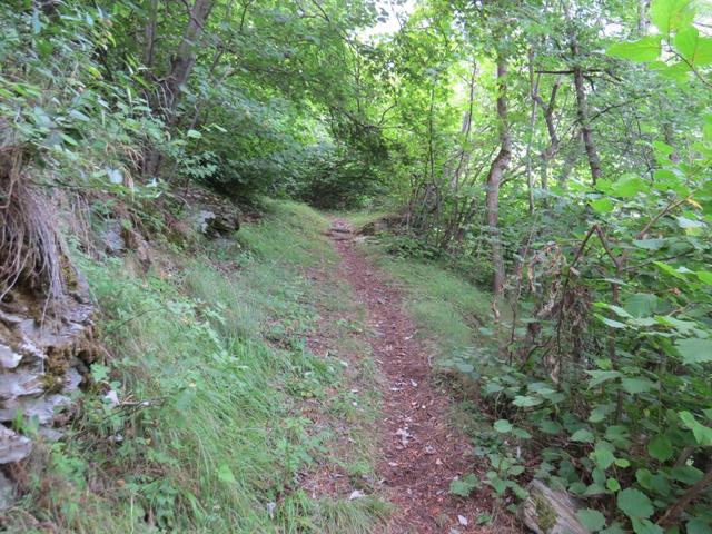 sofort geht es steil den Wald hinauf