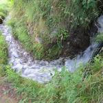 links an uns strömt das Wasser der Ergisch Suone vorbei