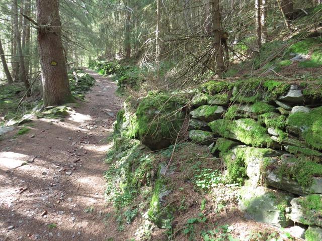 über den alten Saumweg der nach Gruben führte, wandern wir weiter aufwärts