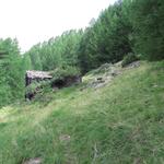 ...und erreichen die verlassenen Hütten auf der Locher Alpji 1705 m.ü.M.
