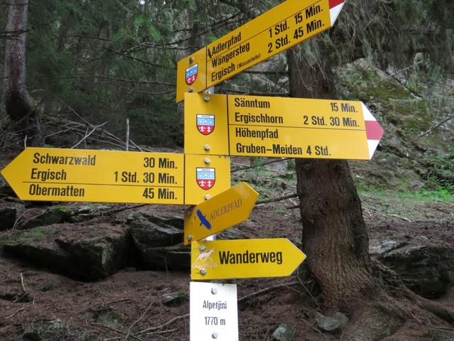 Wegweiser bei Alpetjini 1770 m.ü.M. weiter geht es nach Ergisch