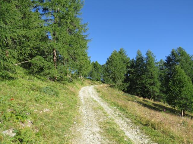 vom Restaurant auf der Mossalp steigen wir auf dem Fahrweg in ziemlich genau westlicher Richtung...