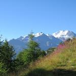 am Horizont taucht die Mischabelgruppe mit Balfrin und Dom auf