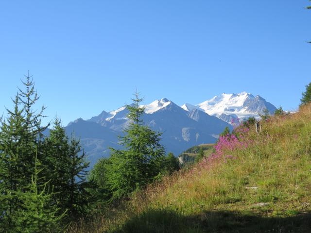 am Horizont taucht die Mischabelgruppe mit Balfrin und Dom auf