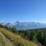 direkt vor uns am Horizont zeigt sich die beeindruckende mit Eis durchsetzte Felspyramide des Bietschhorn