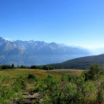 schönes Breitbildfoto mit Blick ins Rhonetal. Bei Breitbildfotos danach immer noch zusätzlich auf Vollgrösse klicken