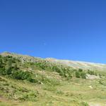 wir erreichen schnell die Waldgrenze und laufen über das Skigebiet der Moosalp zu Punkt 2201 m.ü.M.