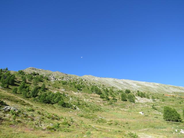 wir erreichen schnell die Waldgrenze und laufen über das Skigebiet der Moosalp zu Punkt 2201 m.ü.M.