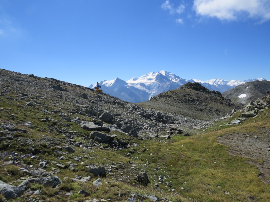 bei der Namenslosen Weggabelung kurz nach Punkt 2910 m.ü.M.