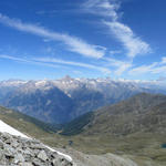 super schönes Breitbildfoto zur Südfront der Berner Alpen mit Bietschhorns, Nesthorn und Aletschhorn